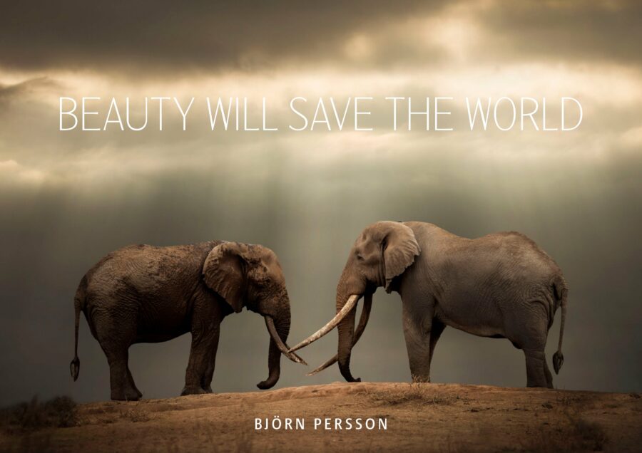 Beauty will save the world, bound