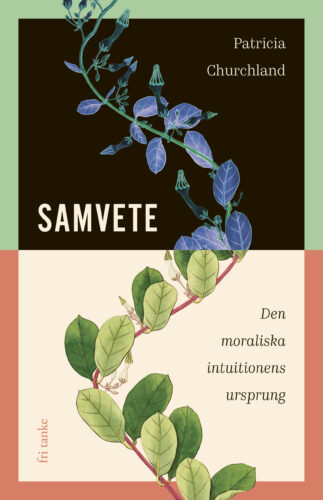 Samvete