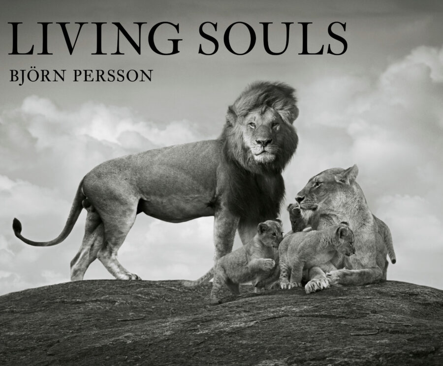 Living souls, bound