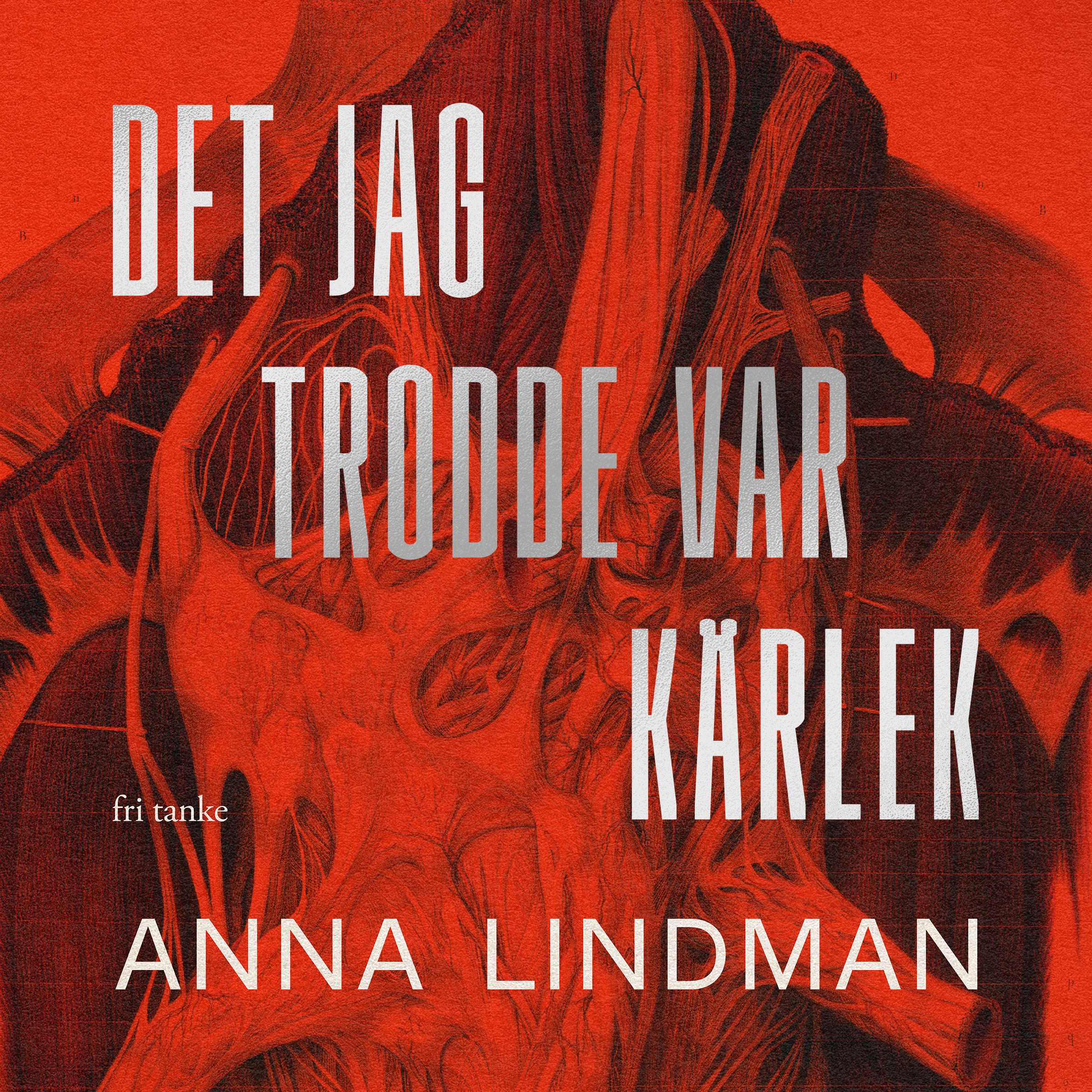 Det jag trodde var kärlek, audiobook